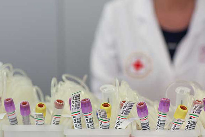 DRK Blutspendedienst